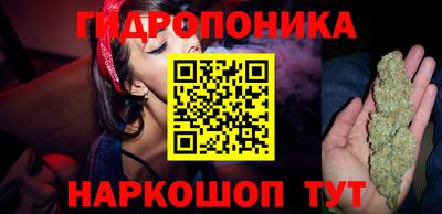 стафф Можга