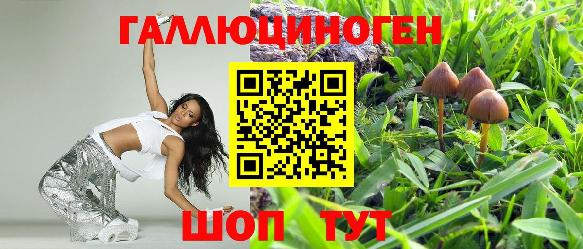 Галлюциногенные грибы прущие грибы  продажа наркотиков  Родники  Галлюциногенные грибы Magic Shrooms  Вход с VPN 
